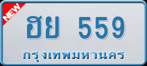 ทะเบียนรถ ฮย 559 ผลรวม 0